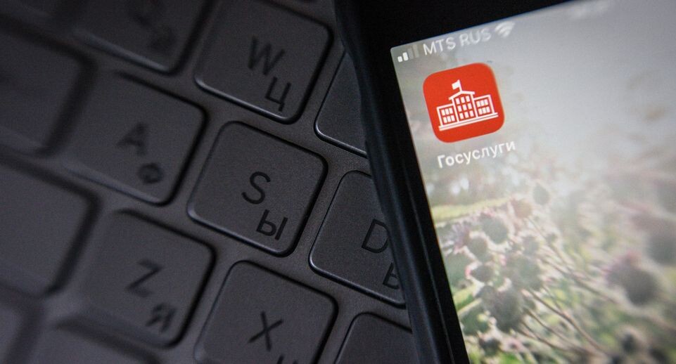    Мобильное приложение «Госуслуги Московской области» / Медиасток.рф