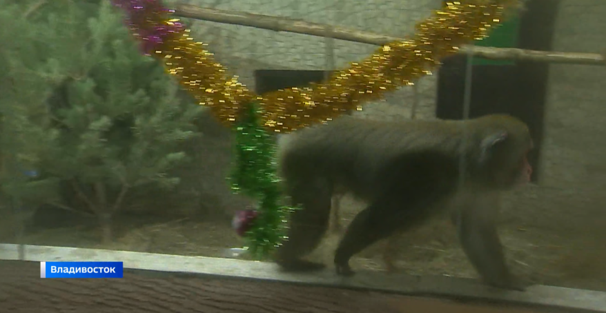    Источник фото: