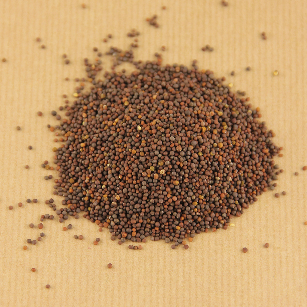 Семена репы чрезвычайно мелкие. В одном килограмме содержится до 1 миллион семян