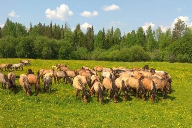    Фото: Из личного архива/ Наталья Белоусова