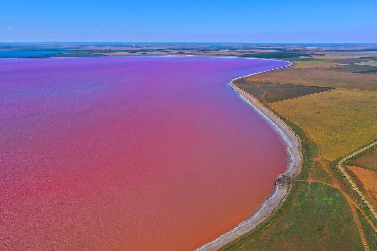 Розовый цвет воды связан с жизнедеятельностью микроскопической водоросли Dunaliella salina (дуналиелла солоноводная).