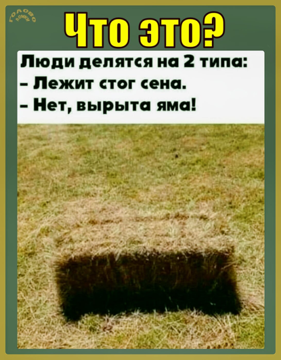🌾 Яма или стог сена? Разгадай оптическую иллюзию за 10 секунд!