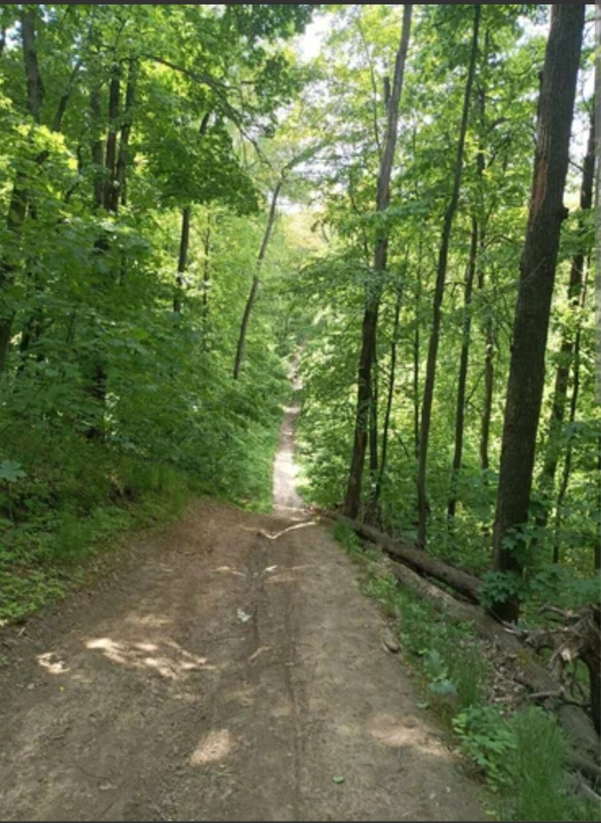 Воронежская нагорная дубрава