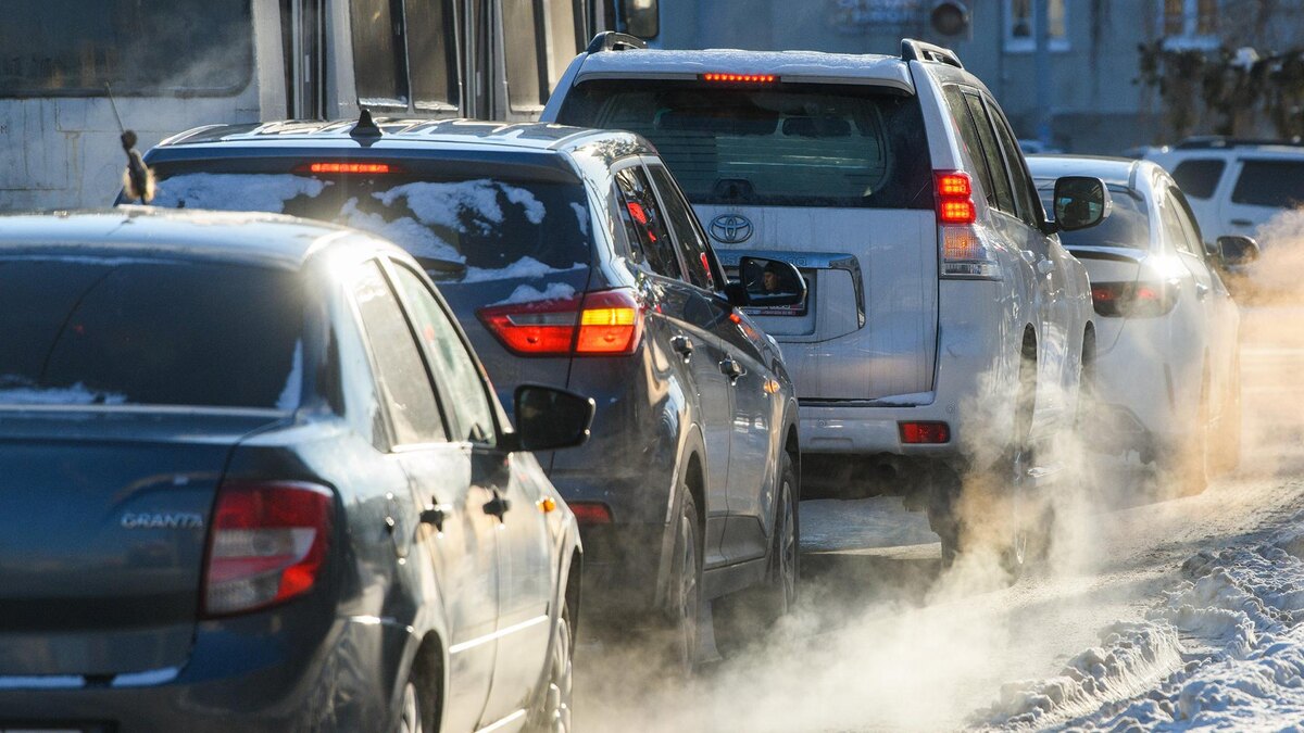    Фото: Ilya Moskovets/globallookpress.com