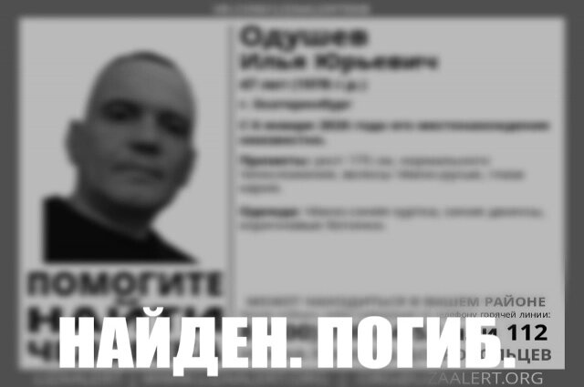    Фото: «Лиза Алерт»