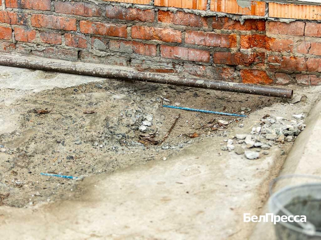     Фото: Алексей Дацковский (архив)