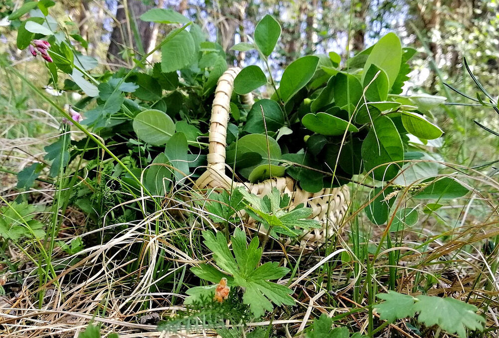 (все фото из архива автора 🤳)