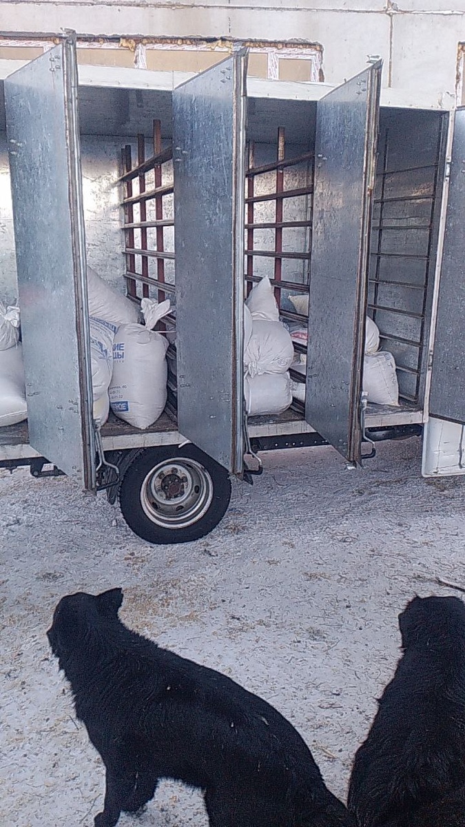 В приют привезли в подарок хлебную крошку, её добавляют в кашу для собак, еда получается полее коллорийной. Благодарим за помощь нашего куратора  Игоря! 