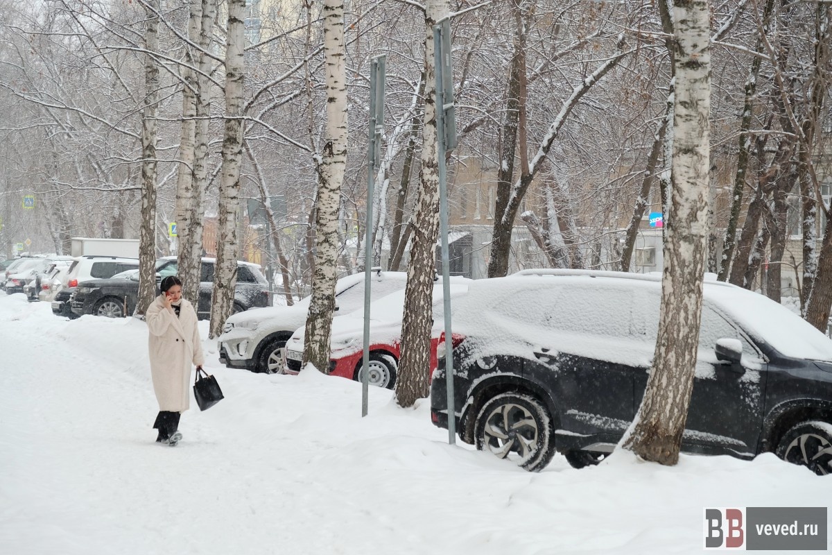    Фото: Владислав Постников / Вечерние ведомости