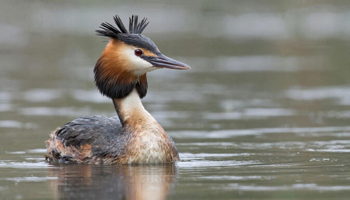    Правительство Кировской области