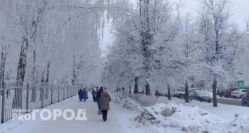    Фото progorod43.ru