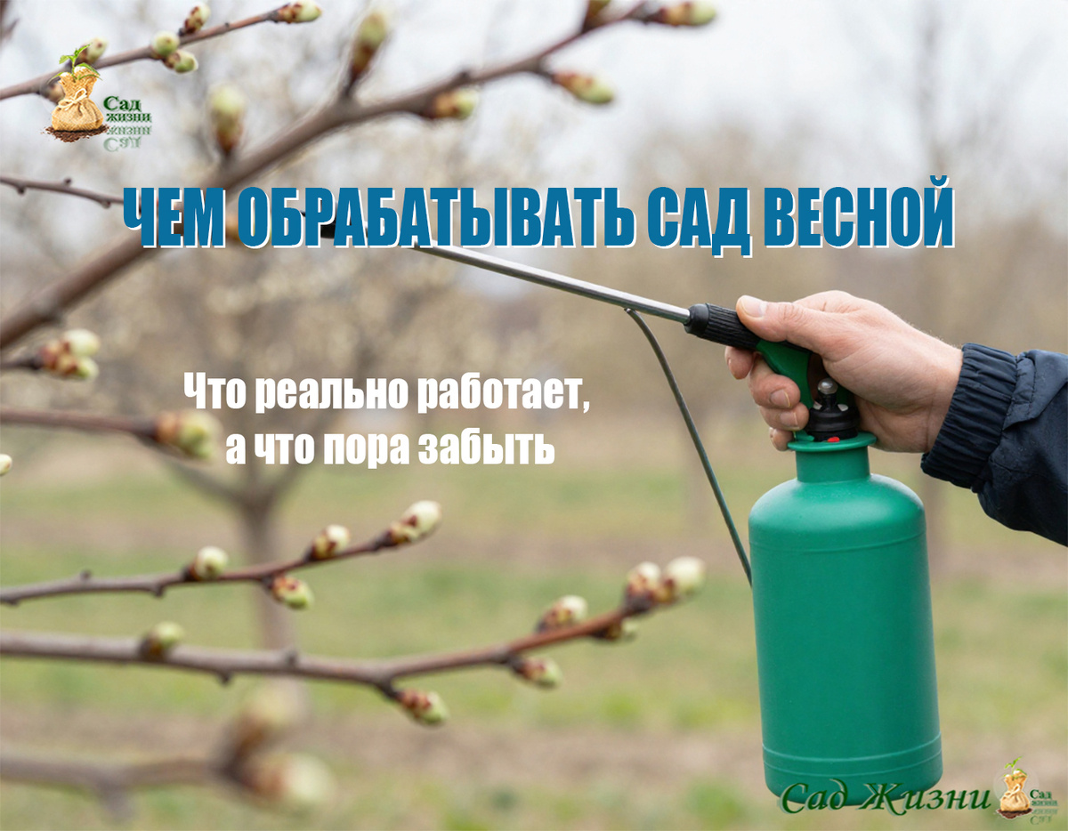 Чем на самом деле обрабатывать сад весной — и какие «проверенные средства» уже не работают