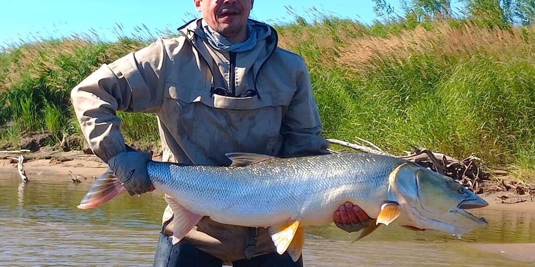Трофейная рыбалка и плетеная леска: идеальное сочетание