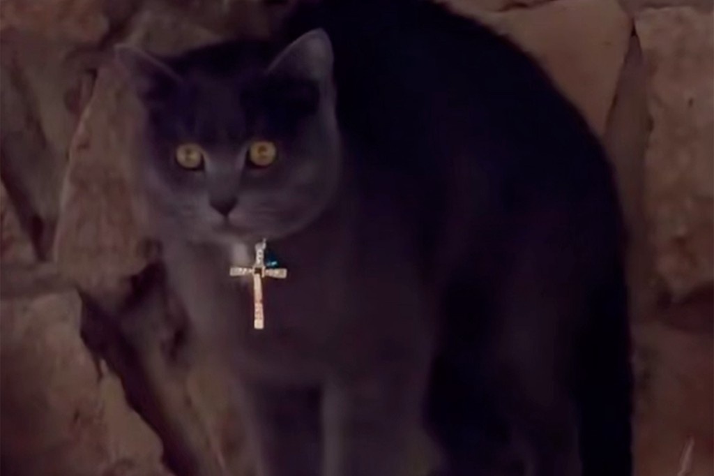    Фото © Telegram / «В Балашихе | Все новости»