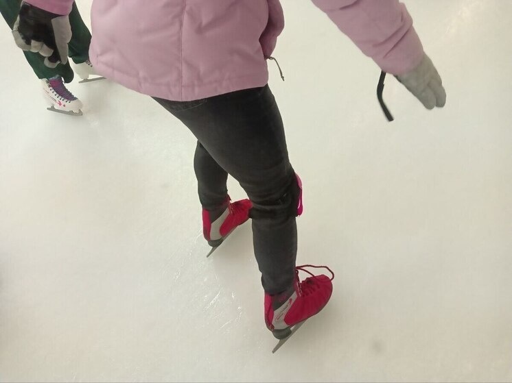     Фото: архив МК в Ленобласти.