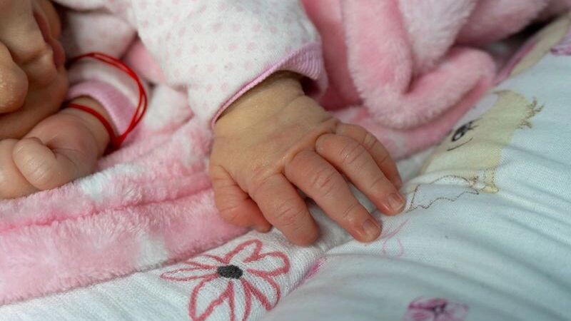    Фото: Korosi Francois-Zoltan/Shutterstock/Fotodom