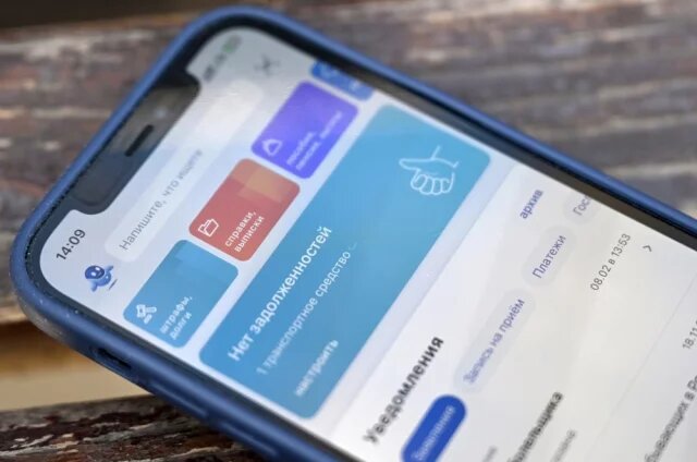    Как проверить долги по алиментам на Госуслугах?