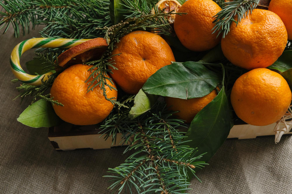    freepik.com / meteoritka1990