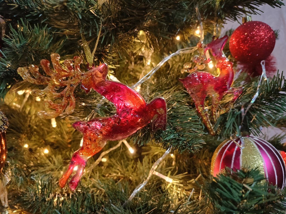 Личная фотография