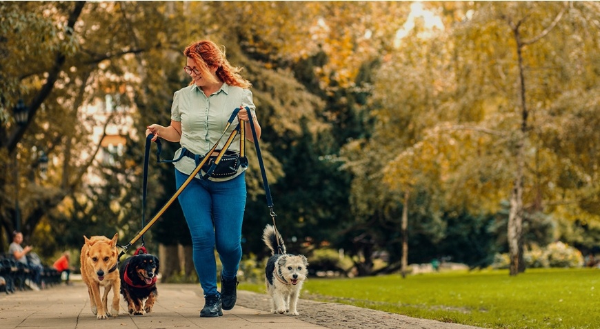 Выгульщик собак