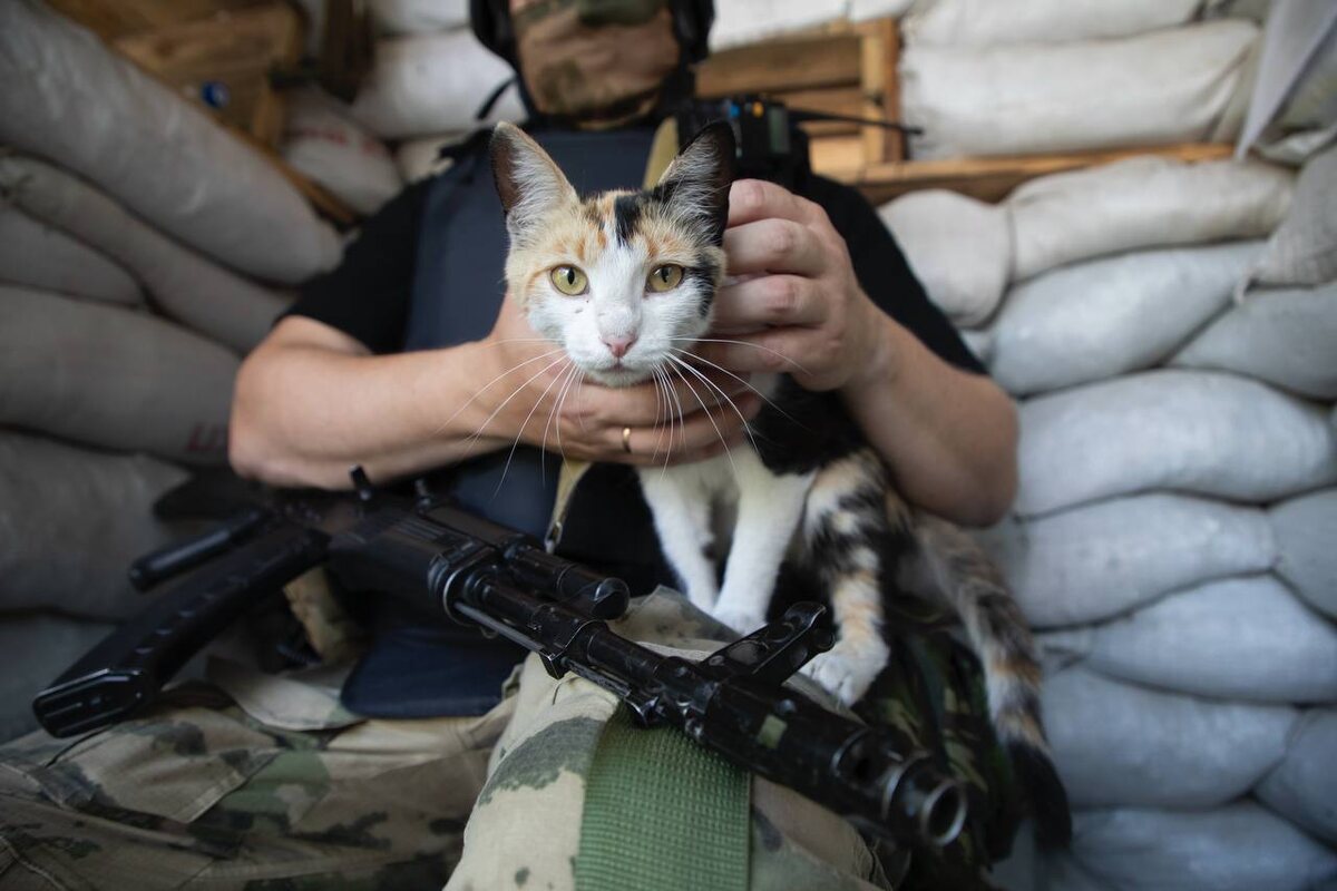    Фото: Росгвардия