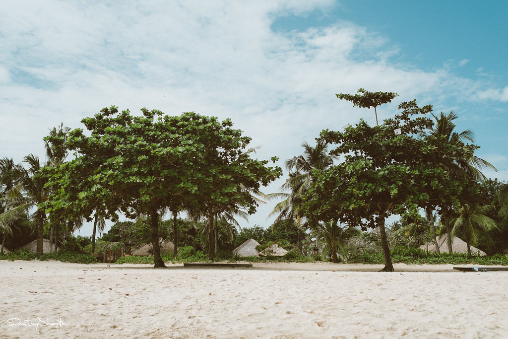 Автор фото: Дмитрий Шойтов. Источник: Flickr