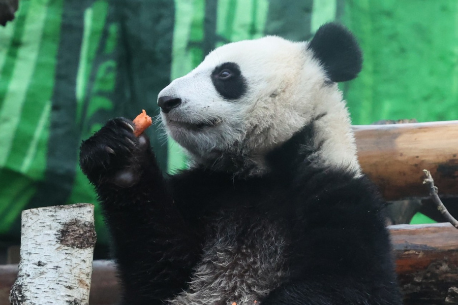    Алексей Белкин/NEWS.ru