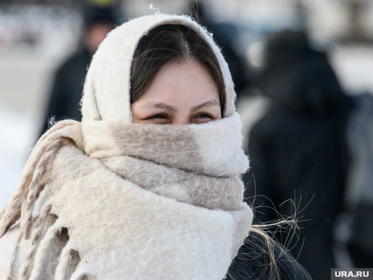     В Москве потеплеет на Крещение