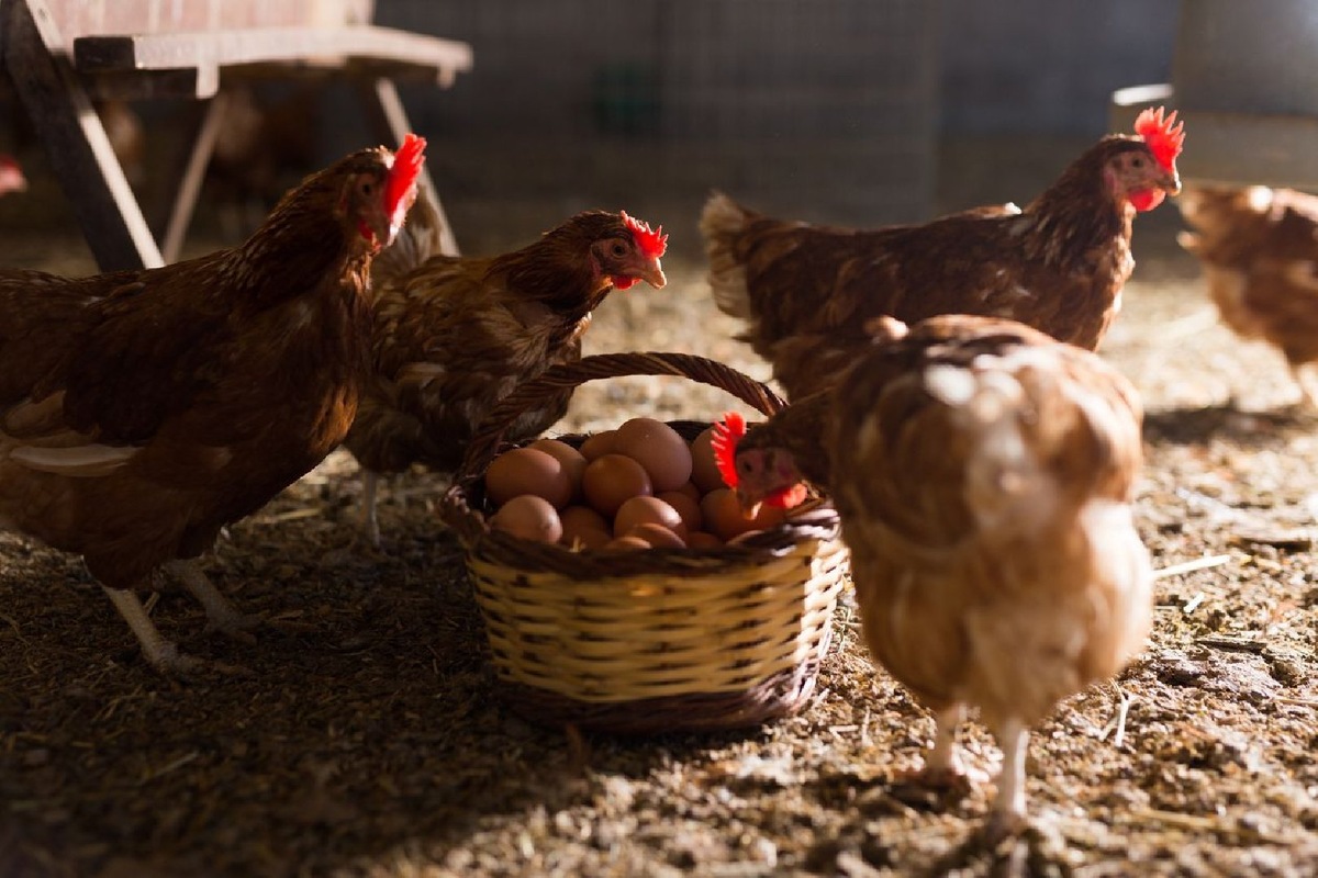    Фото: iStock/JackF