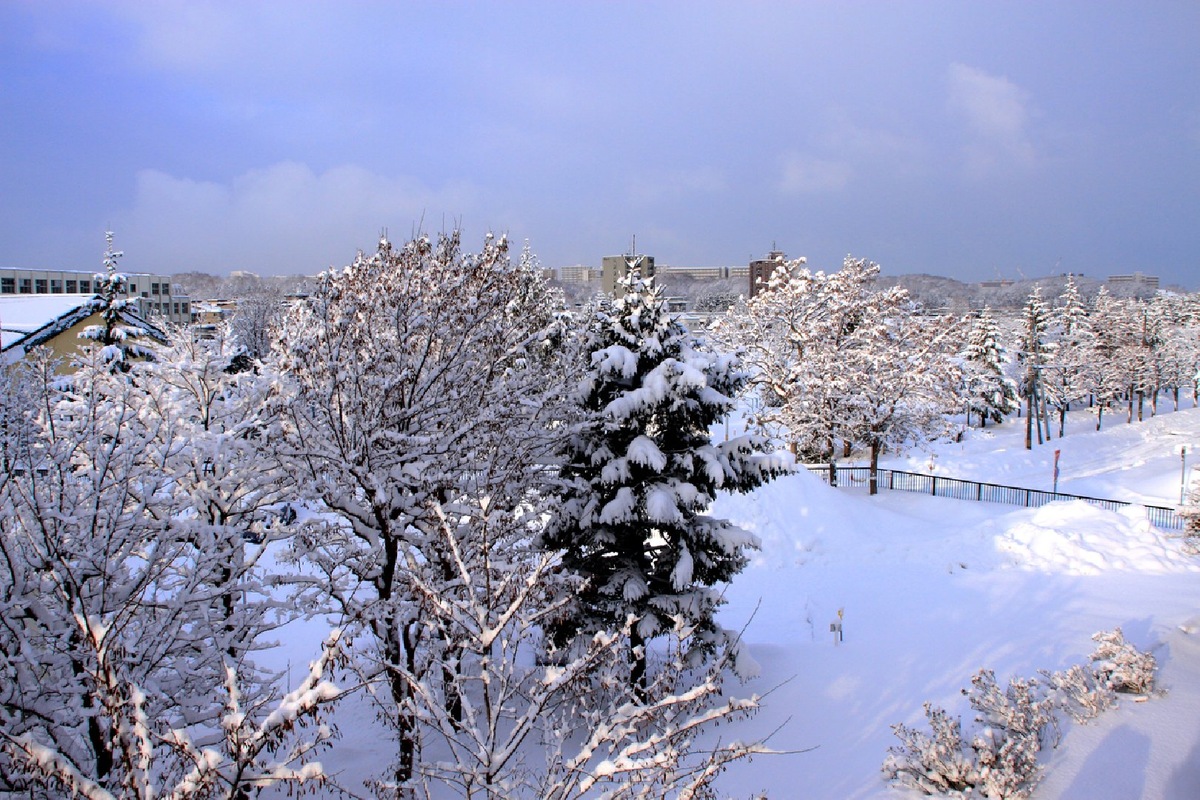    Фото: iStock/ogal