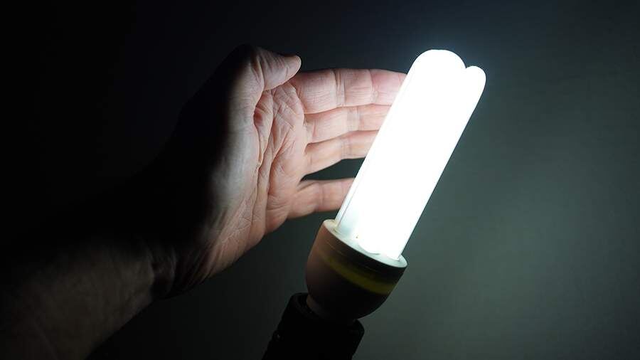    Фото: ИЗВЕСТИЯ/Эдуард Корниенко