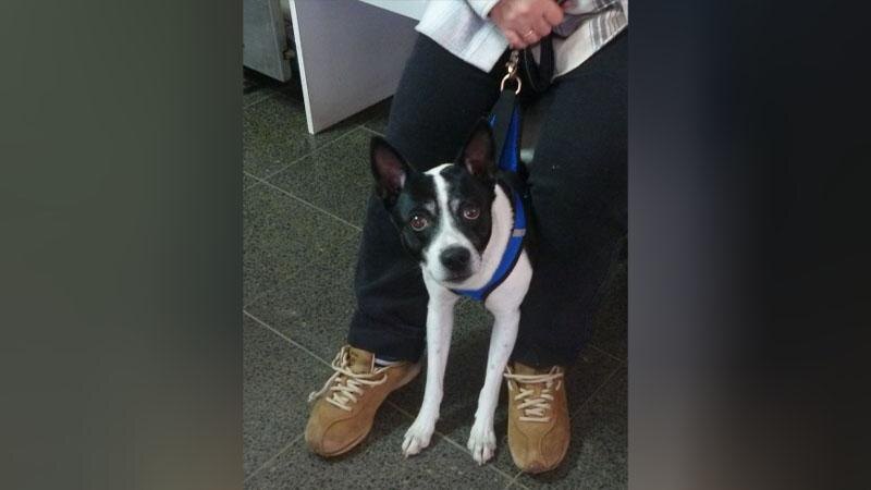    Фото: 178.fsvps.gov.ru