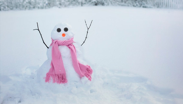 5 января — Селиверстов день (Куриный праздник). Фото: pxhere.com