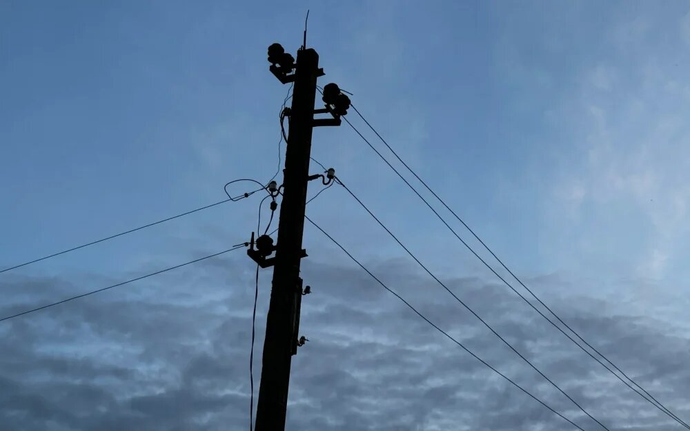    Фото: "Брянские новости"