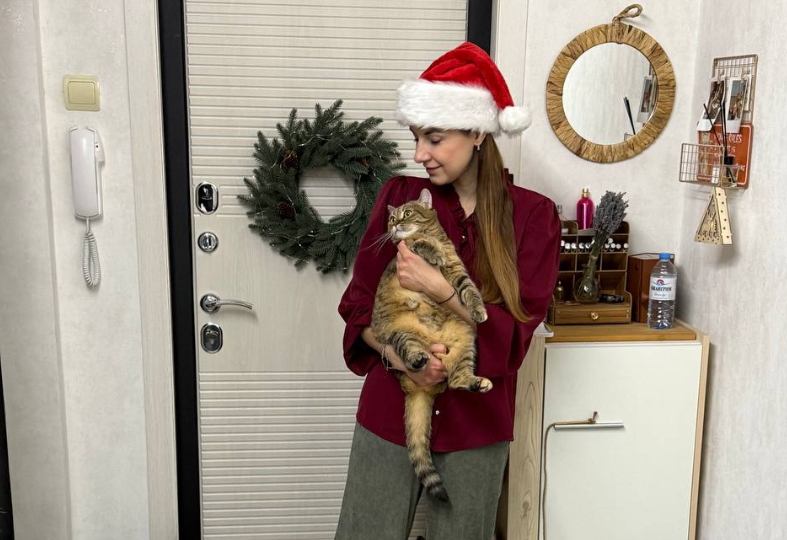 Наказание или воспитание? Как правильно воспитывать кошку