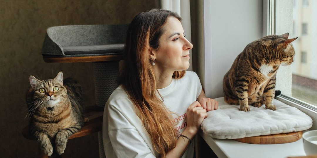 Ночной "тыгыдык": как выспаться самому и не обидеть кошку