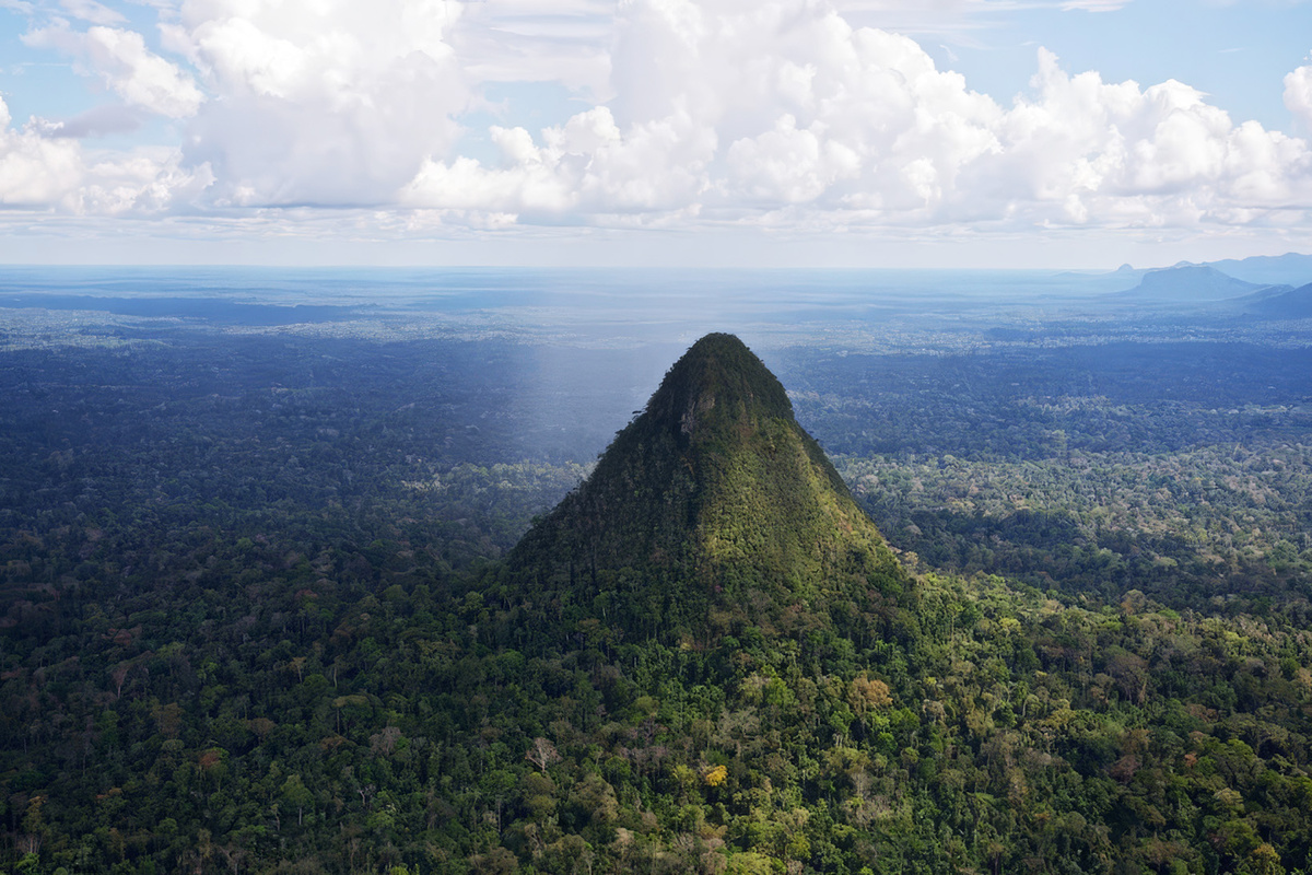 Гора Серро-Эль-Коно в джунглях Амазонии