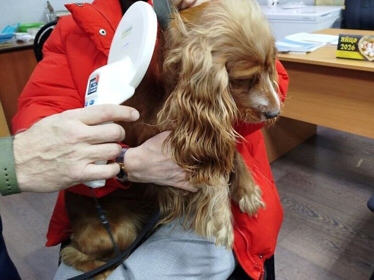     Фото: пресс-служба Управления Россельхознадзора по республикам Хакасия и Тыва