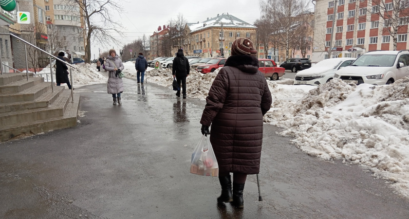    Фото progorod43.ru