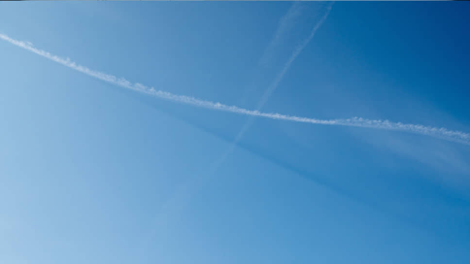 Фото: Олег Харсеев / Коммерсантъ