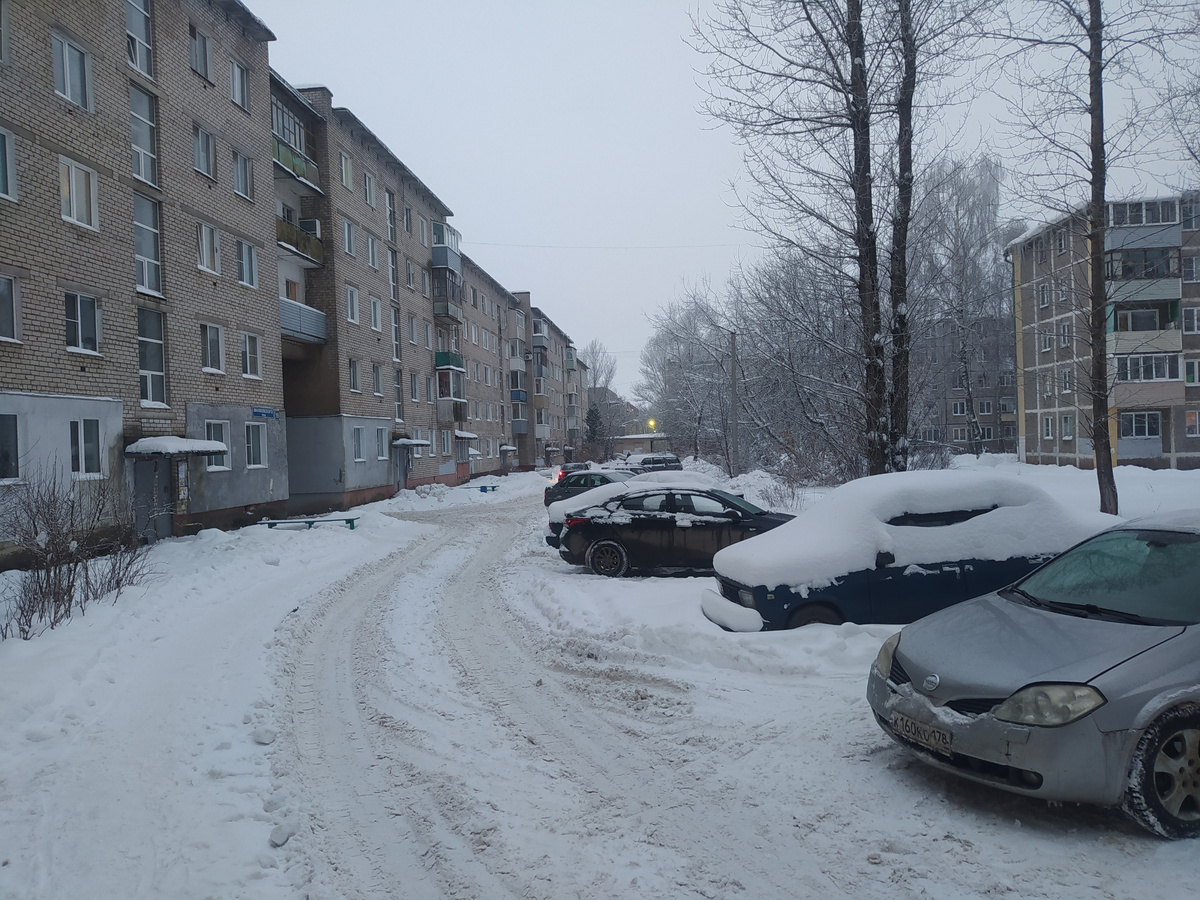 Зимние дороги переславских дворов