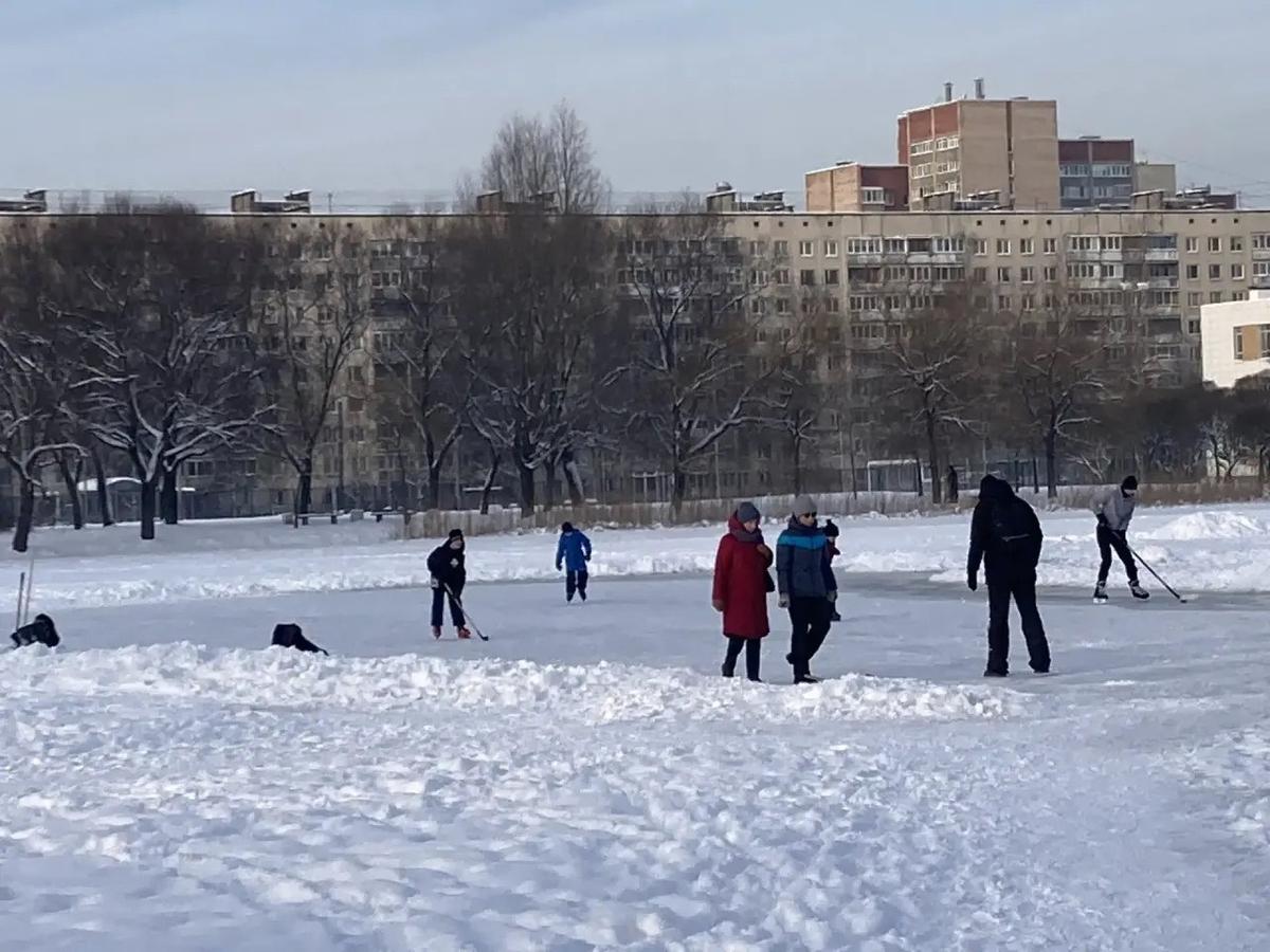 Фото: комитет по благоустройству Санкт-Петербурга