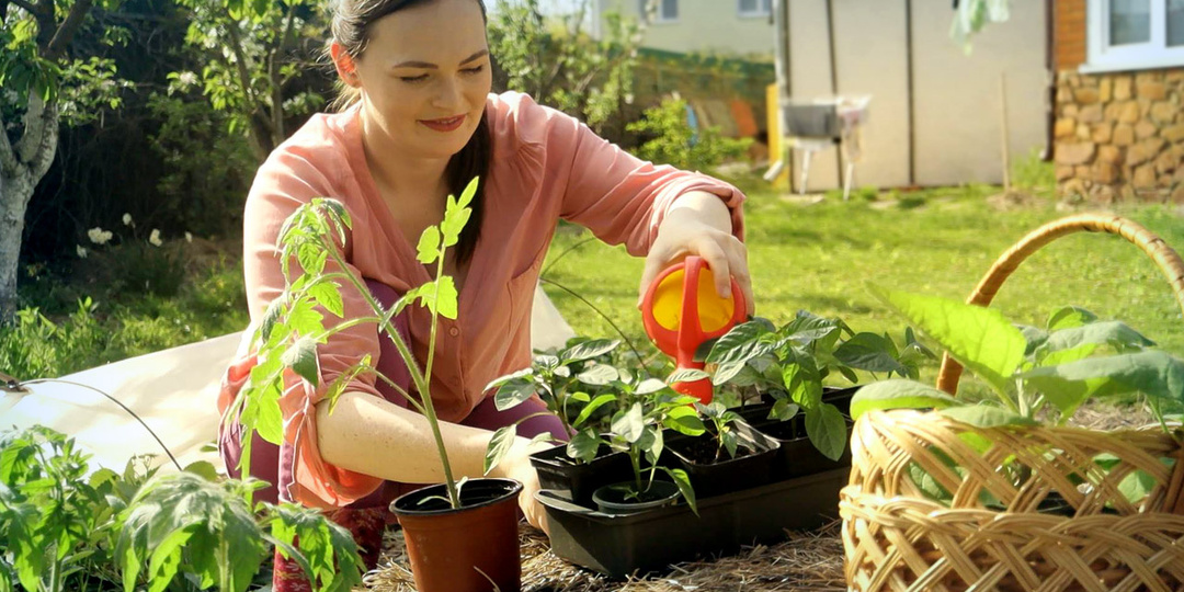 5 ПРИЧИН почему рассада перерастает