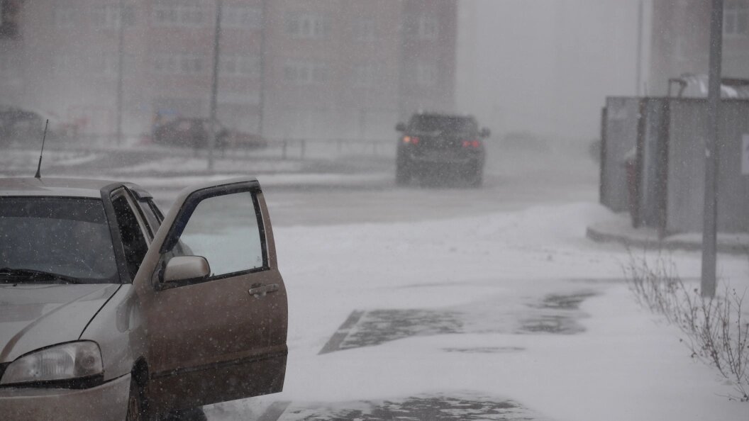    фото: Царьград