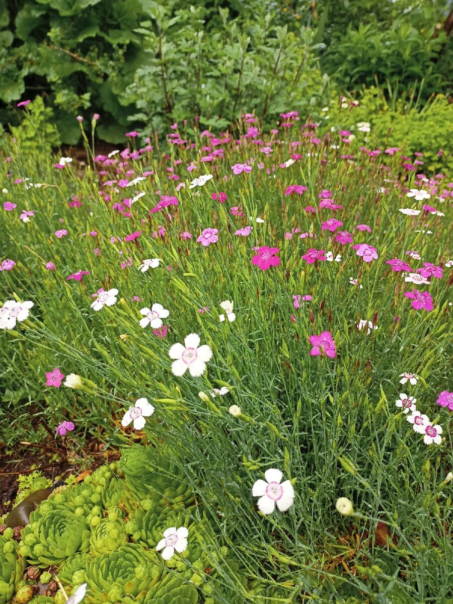 Все фото и ИИ-генерации - автора