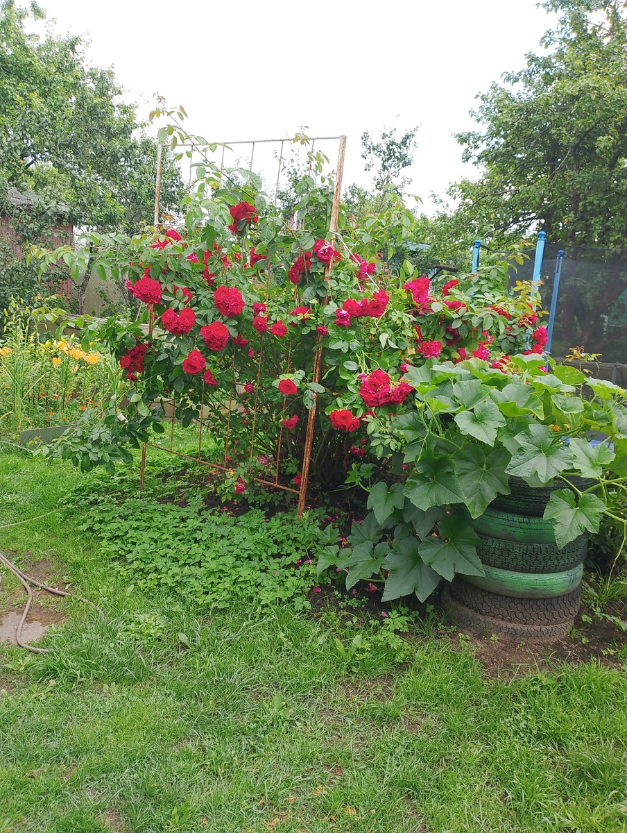 Фото автора.