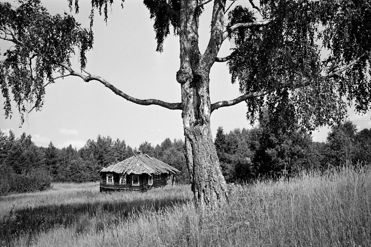 Взято из открытых источников интернета Яндекс.