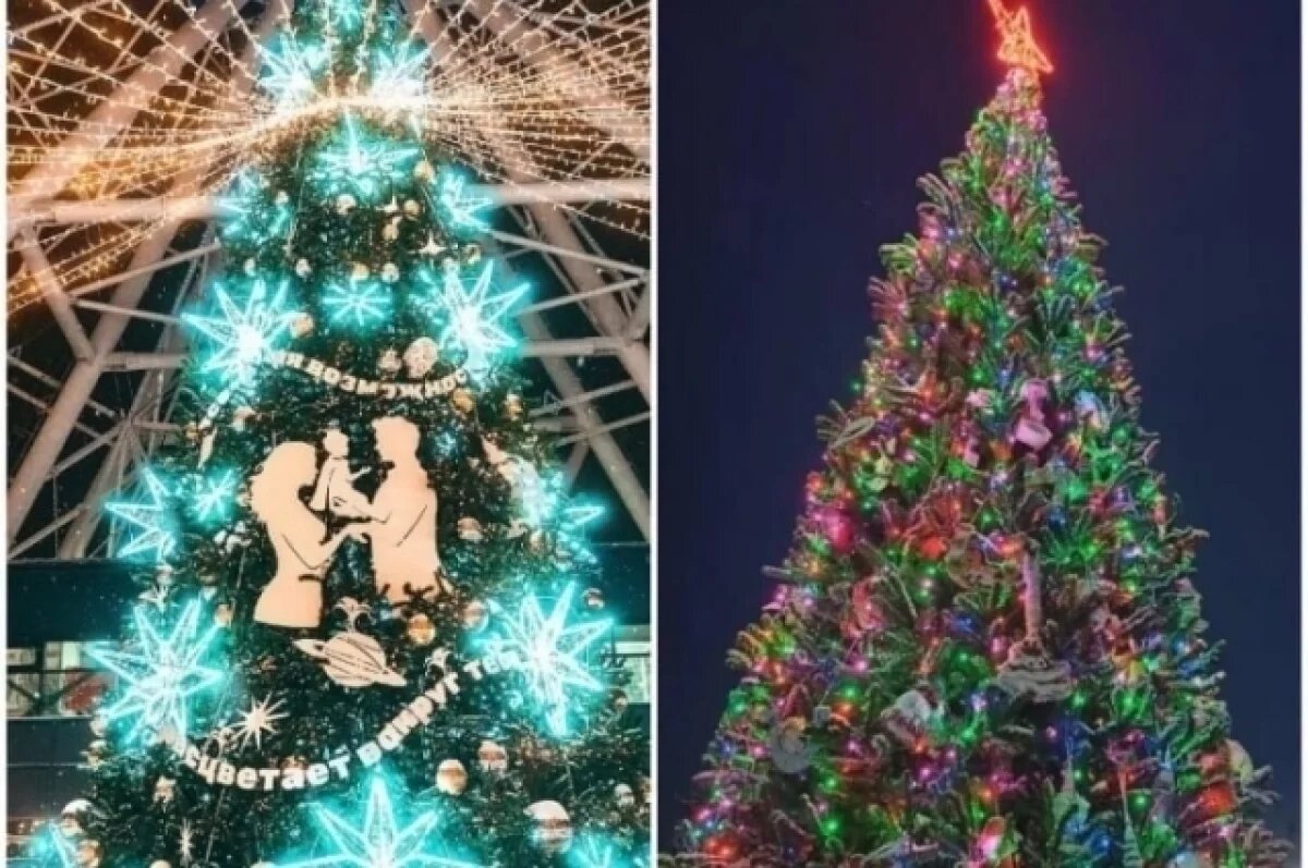    Ёлка из Омской области завоевала приз во всероссийском конкурсе