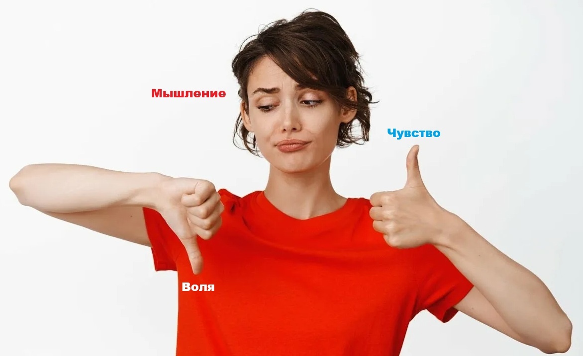 Мы говорим о нашей душевной жизни: итак, в нас есть - мышление, чувство и воля...