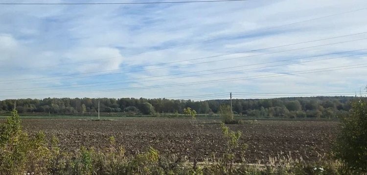    Фото: Лукьянов Дмитрий, AgroXXI.ru